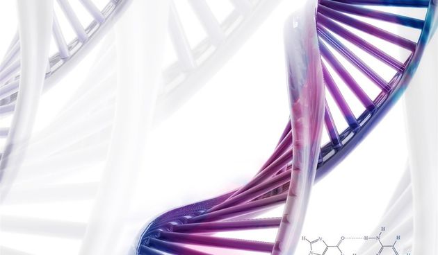 DNK origami (foto: bug.hr)