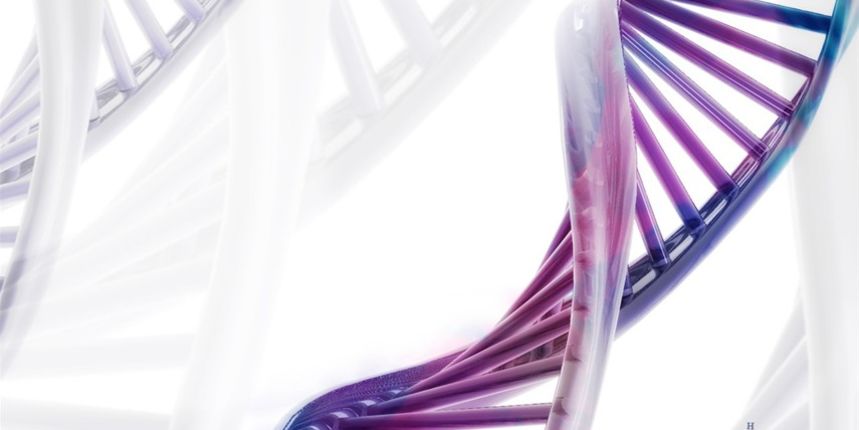 DNK origami (foto: bug.hr) DNK origami (foto: bug.hr)