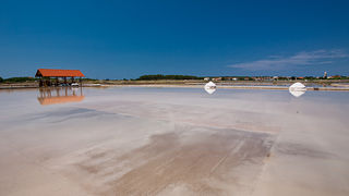 Solana Nin, berba soli, foto: Leo Banić