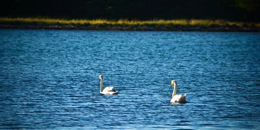 Đir po Ninu 18. svibnja 2014., foto: Iva Perinčić Đir po Ninu 18. svibnja 2014., foto: Iva Perinčić