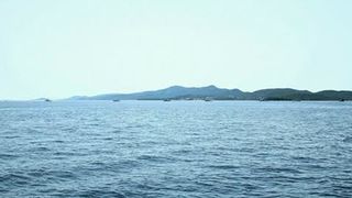 Tunuara 2016 – parada mažoretkinja, kuhanje brudeta & defile ribarica. Foto: Marija Cvetković