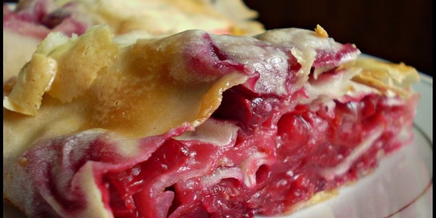 Štrudla od višnje, foto: www.pticica.com