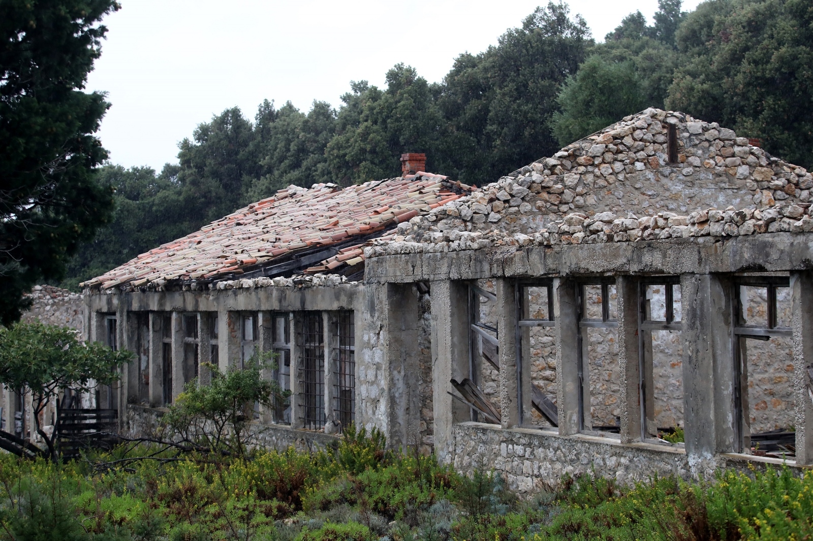 Sv. Grgur: Otok koji je nekad bio zatvor za žene Sv. Grgur: Otok koji je nekad bio zatvor za žene