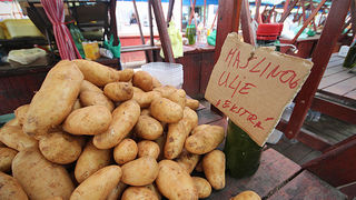 Đir po pijaci, 17. travnja 2012. (foto:Saša Čuka)