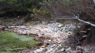 Greenpeace upozorava na problem bacanje plastike u more Greenpeace upozorava na problem bacanje plastike u more