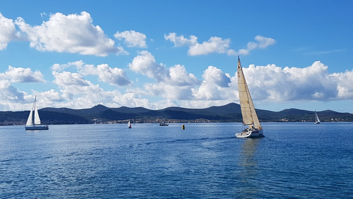 Zadarska Koka 2016. 22. listopada 2016. Foto: Mladen Malik Zadarska Koka 2016. 22. listopada 2016. Foto: Mladen Malik