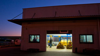 Put masline od stabla do djevicanskog ulja, Foto: Leo Banic Put masline od stabla do djevicanskog ulja, Foto: Leo Banic