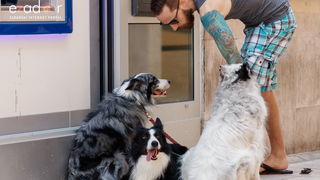 Đir po gradu, srijeda 3. srpnja 2019. Đir po gradu, srijeda 3. srpnja 2019.