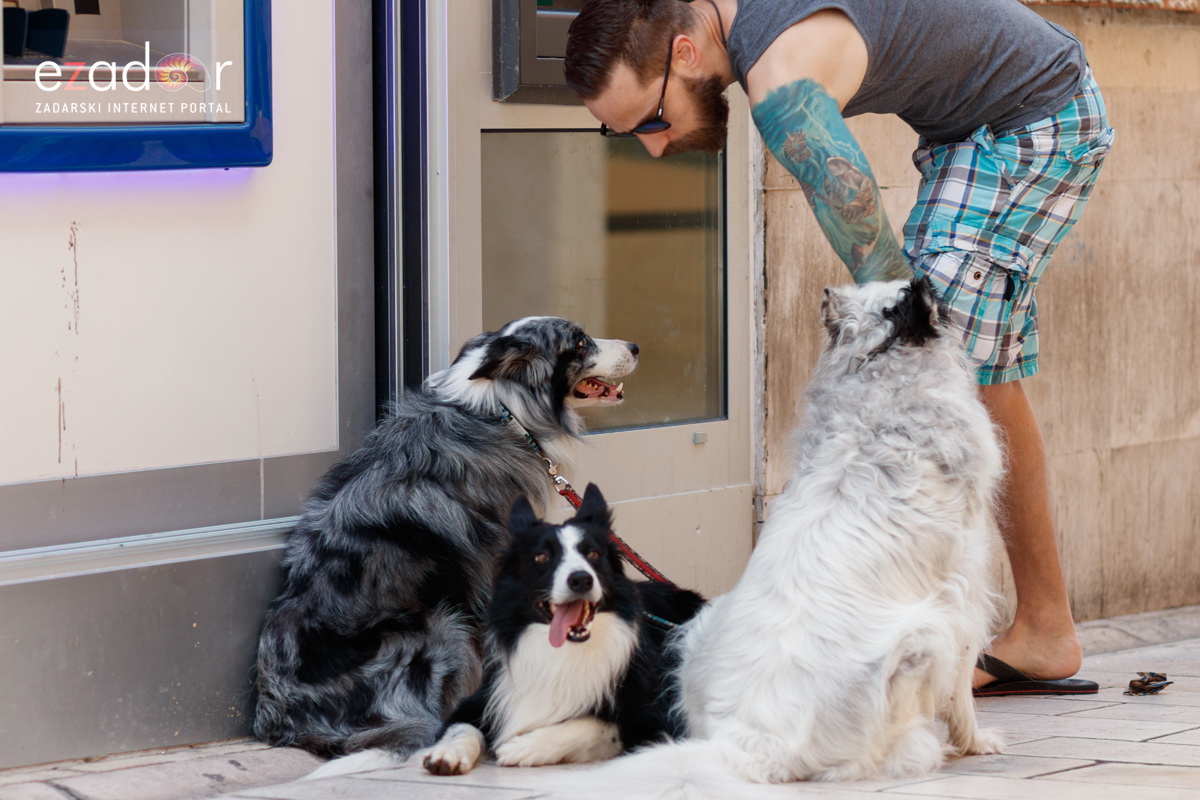 Đir po gradu, srijeda 3. srpnja 2019. Đir po gradu, srijeda 3. srpnja 2019.