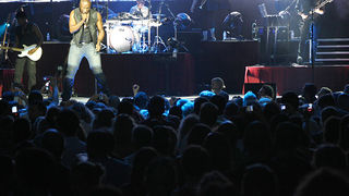 Seal u Zadru 14. srpnja 2010. (foto:Saša Čuka)