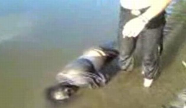 Leš u Dravi (Foto: Index.hr)