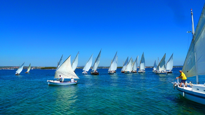 “Đir po konalu” 8. srpnja 2012, Foto: Danijel Katičin