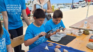 Eko akcija “Učinimo Privlaku privlačnijom”