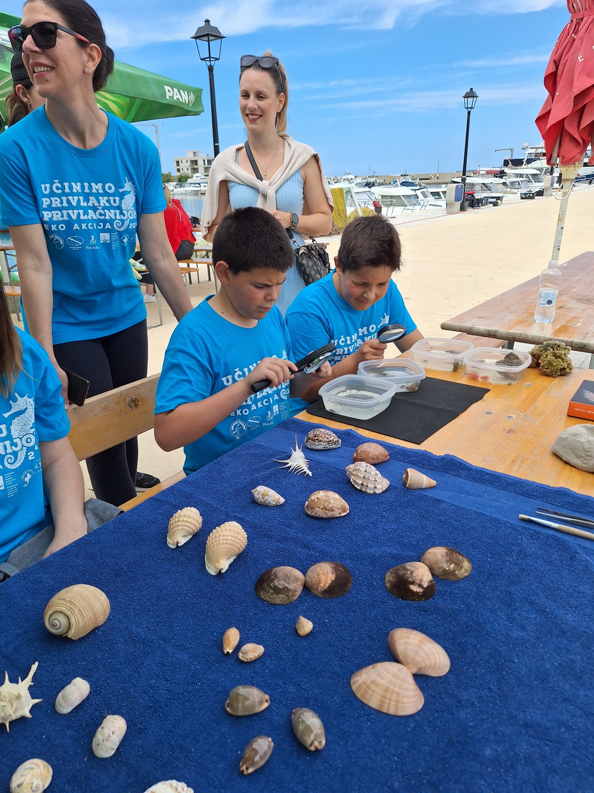 Eko akcija “Učinimo Privlaku privlačnijom”