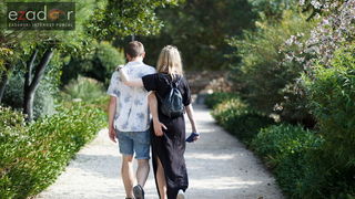 Đir po gradu, petak 13. listopada 2017. Ljubav, zaljubljeni