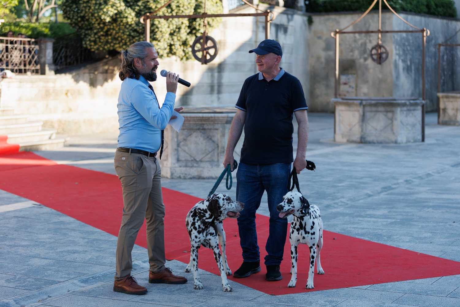 Red Carpet Dalmatian Walk @Trg pet bunara Red Carpet Dalmatian Walk @Trg pet bunara