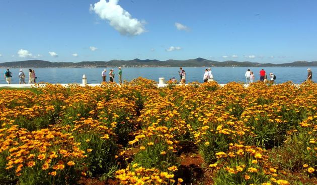 07.06.2013., Zadar – Cvijece i kavica na rivi pored Pozdrava suncu i Morskih orgulja. Photo: Zeljko Mrsic/PIXSELL
