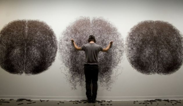 Tony Orrico