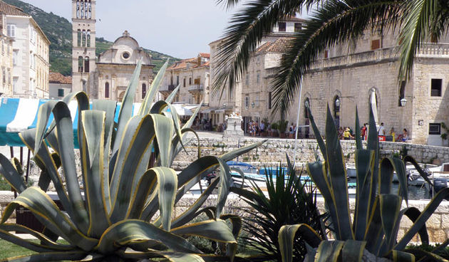 Đir po Hvaru (Foto: Bernard Kotlar)