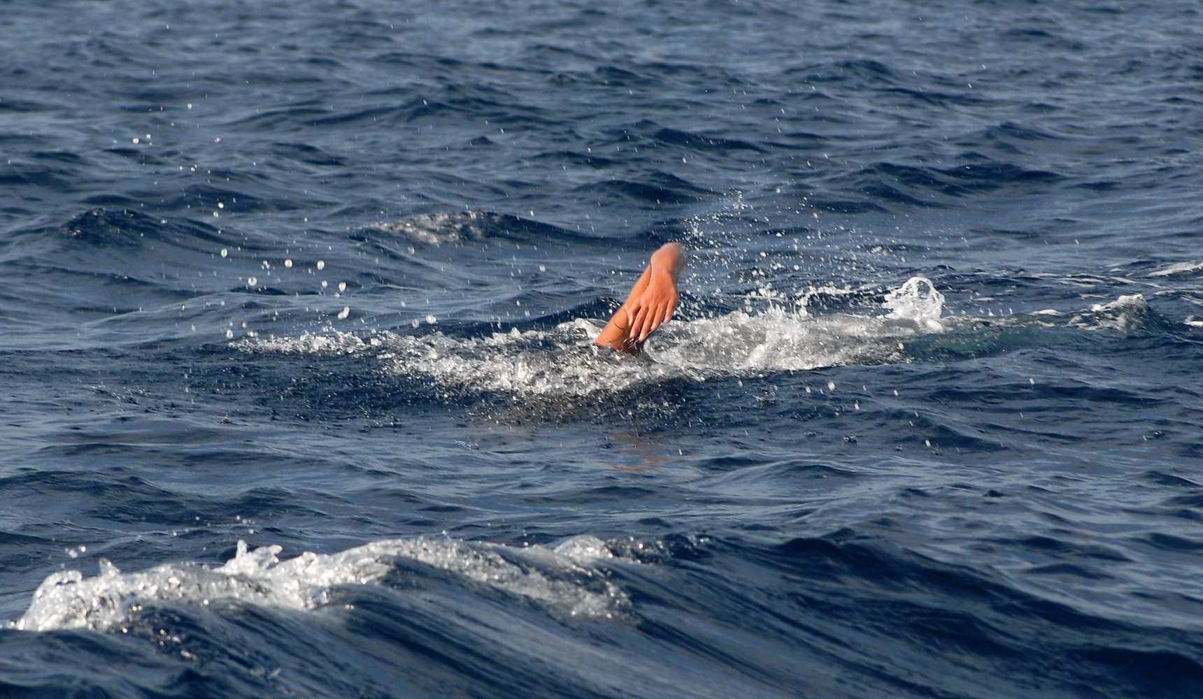 42. plivački maraton Preko – Zadar, Foto: PK Zadar