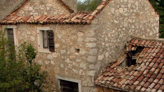 Image 1153721 (auto)