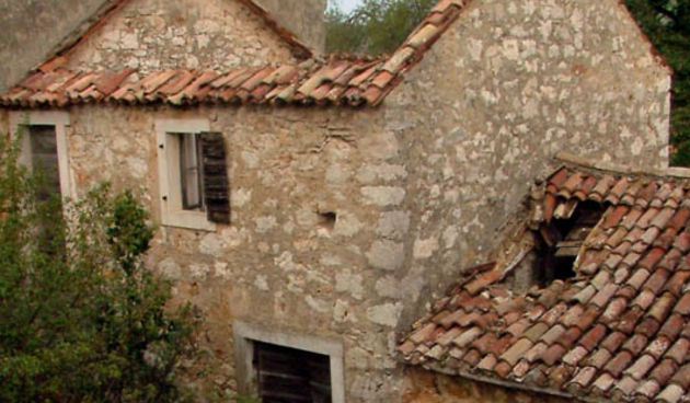 Image 1153721 (auto)