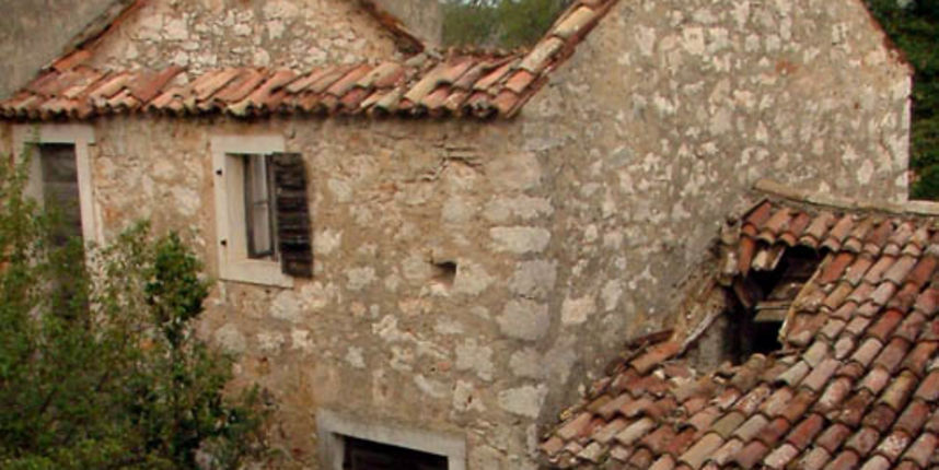 Image 1153721 (auto) Image 1153721 (auto)