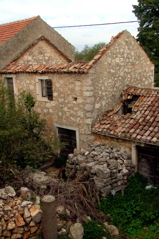 Image 1153721 (auto)