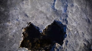 Nedjeljni đir do Parka prirode Vransko jezero i vidikovca Kamenjak, foto: Iva Perinčić Nedjeljni đir do Parka prirode Vransko jezero i vidikovca Kamenjak, foto: Iva Perinčić