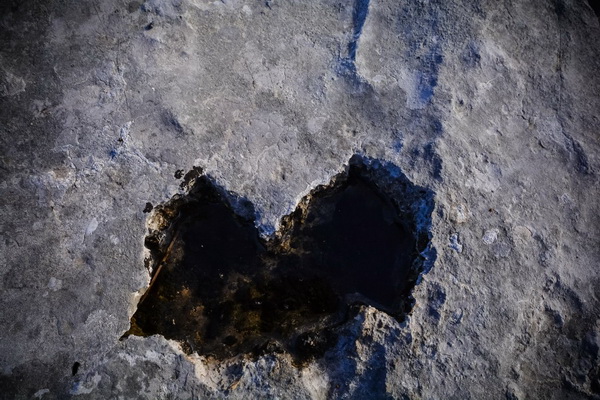 Nedjeljni đir do Parka prirode Vransko jezero i vidikovca Kamenjak, foto: Iva Perinčić Nedjeljni đir do Parka prirode Vransko jezero i vidikovca Kamenjak, foto: Iva Perinčić