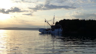 Mišnjak: Nasukana ribarica “Glamoč”