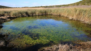 PP Vransko jezero: Akcija obnavljanja starog puta prema lokvi Benči PP Vransko jezero: Akcija obnavljanja starog puta prema lokvi Benči