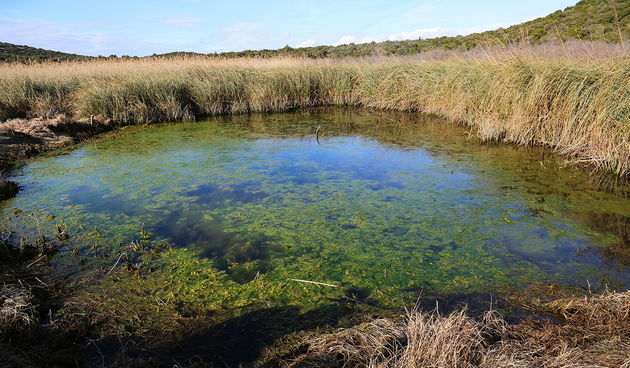 PP Vransko jezero: Akcija obnavljanja starog puta prema lokvi Benči
