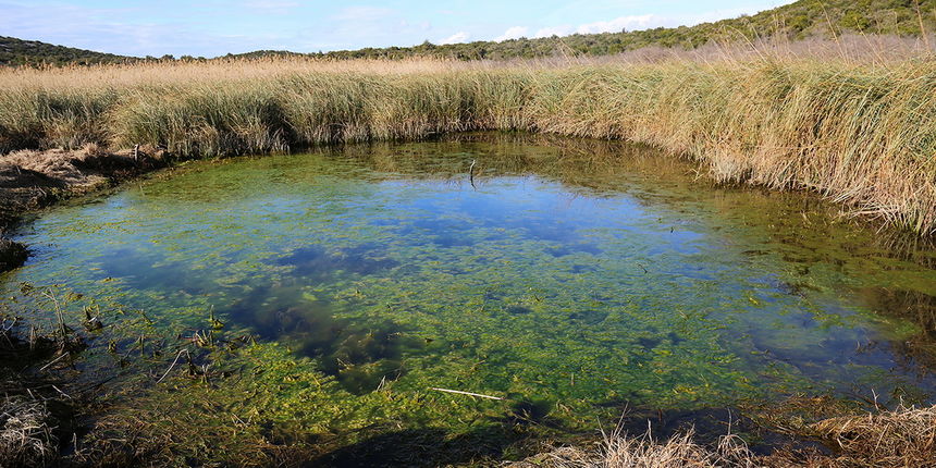 PP Vransko jezero: Akcija obnavljanja starog puta prema lokvi Benči