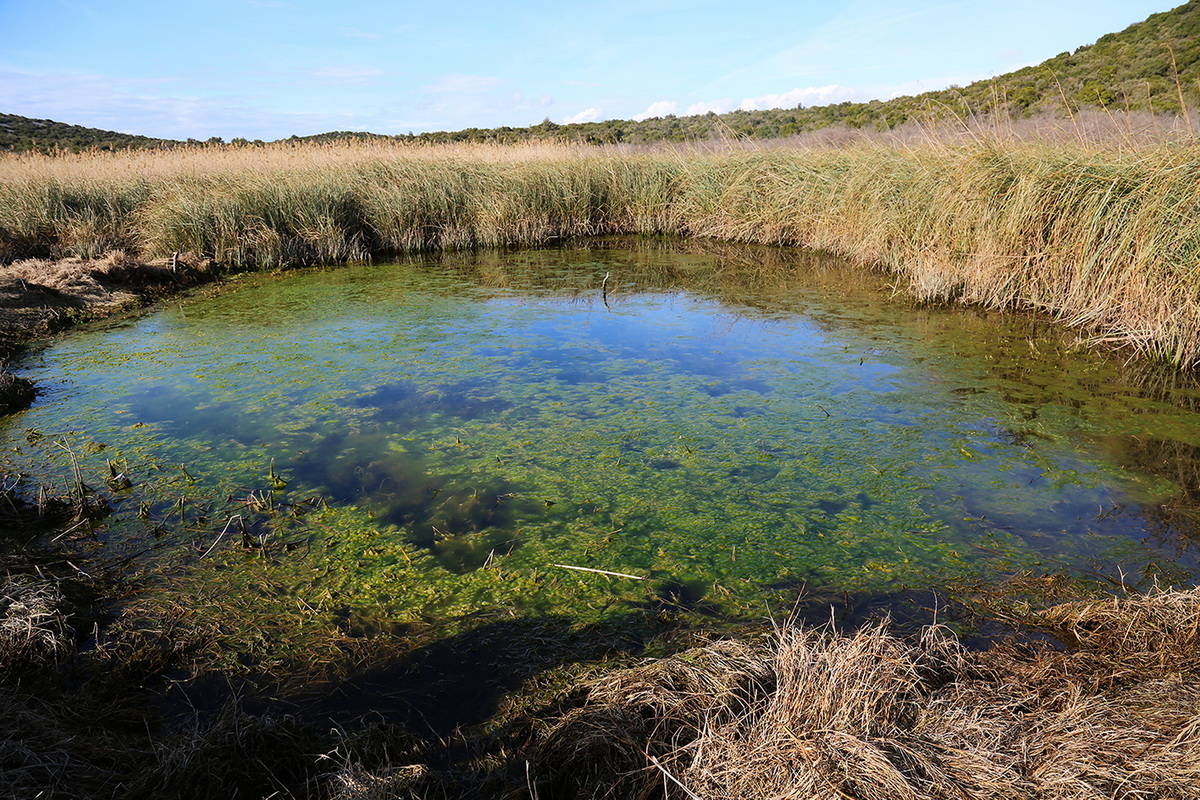 PP Vransko jezero: Akcija obnavljanja starog puta prema lokvi Benči PP Vransko jezero: Akcija obnavljanja starog puta prema lokvi Benči