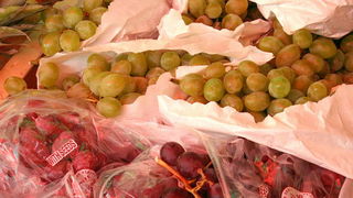 Image 1205461 (auto)