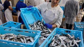 Predsjednik Milanović posjetio je tvrtku Mardešić u Salima