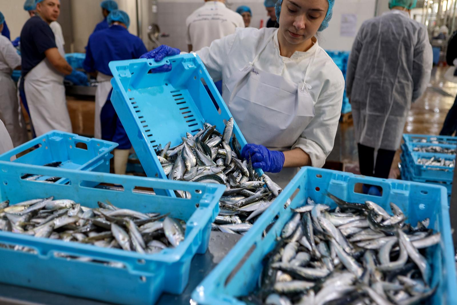 Predsjednik Milanović posjetio je tvrtku Mardešić u Salima