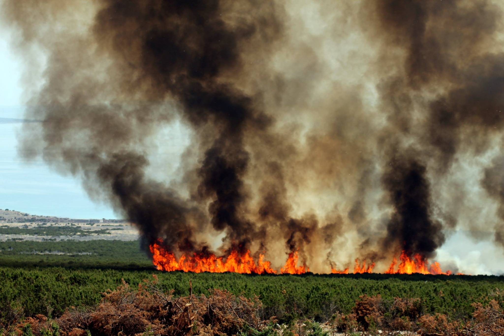 Lokaliziran požar kod Košljuna na otoku Pagu Lokaliziran požar kod Košljuna na otoku Pagu