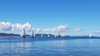 Zadarska Koka 2016. 22. listopada 2016. Foto: Mladen Malik Zadarska Koka 2016. 22. listopada 2016. Foto: Mladen Malik