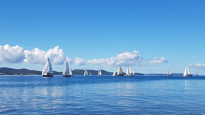 Zadarska Koka 2016. 22. listopada 2016. Foto: Mladen Malik Zadarska Koka 2016. 22. listopada 2016. Foto: Mladen Malik