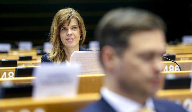 Eurozastupnica Biljana Borzan