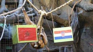 Gibon Kent odabrao pobjednika utakmice Hrvatska – Maroko