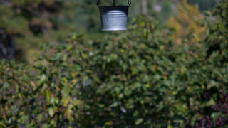 Izlet u NP Krka: Skradin, Skradinski buk, Visovac, foto: Darko Belančić