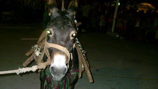 Sukosan: 40. Memorijal kenje Viole i svicarenje, 9. kolovoza 2009, Foto: Mirta Krupic