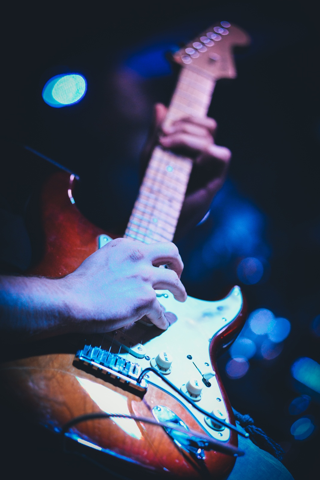 Diktatori u Maraschinu, Foto: Iva Perinčić Diktatori u Maraschinu, Foto: Iva Perinčić