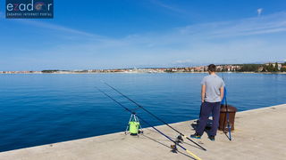 Đir po gradu 3. ožujka 2017.