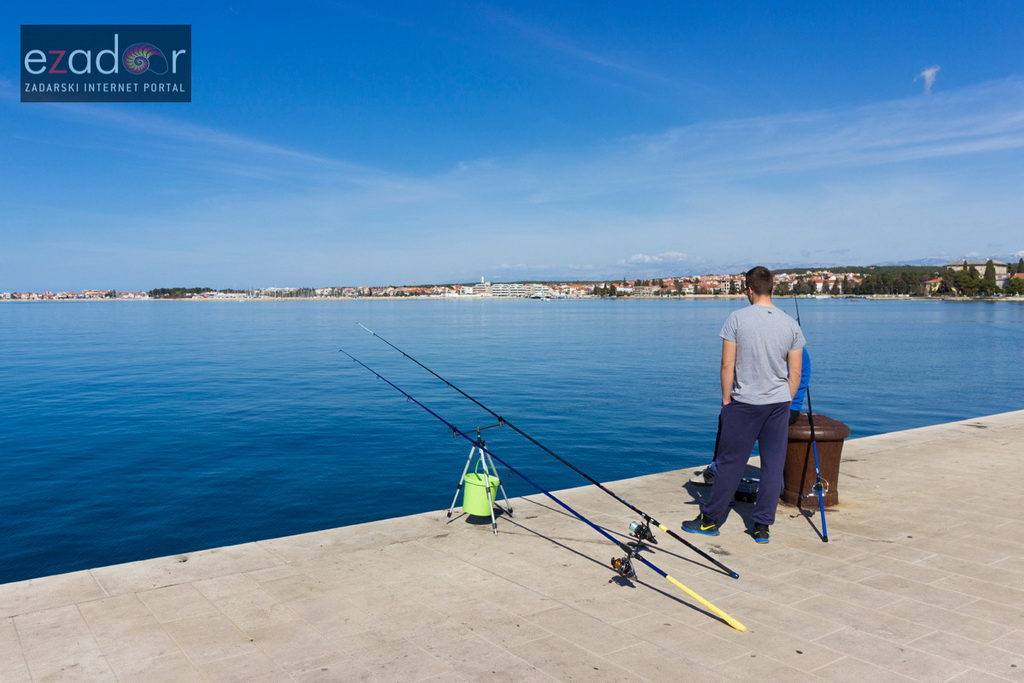 Đir po gradu 3. ožujka 2017.