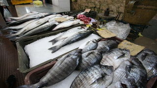 Image 1203819 (auto)