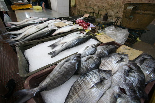 Image 1203819 (auto)